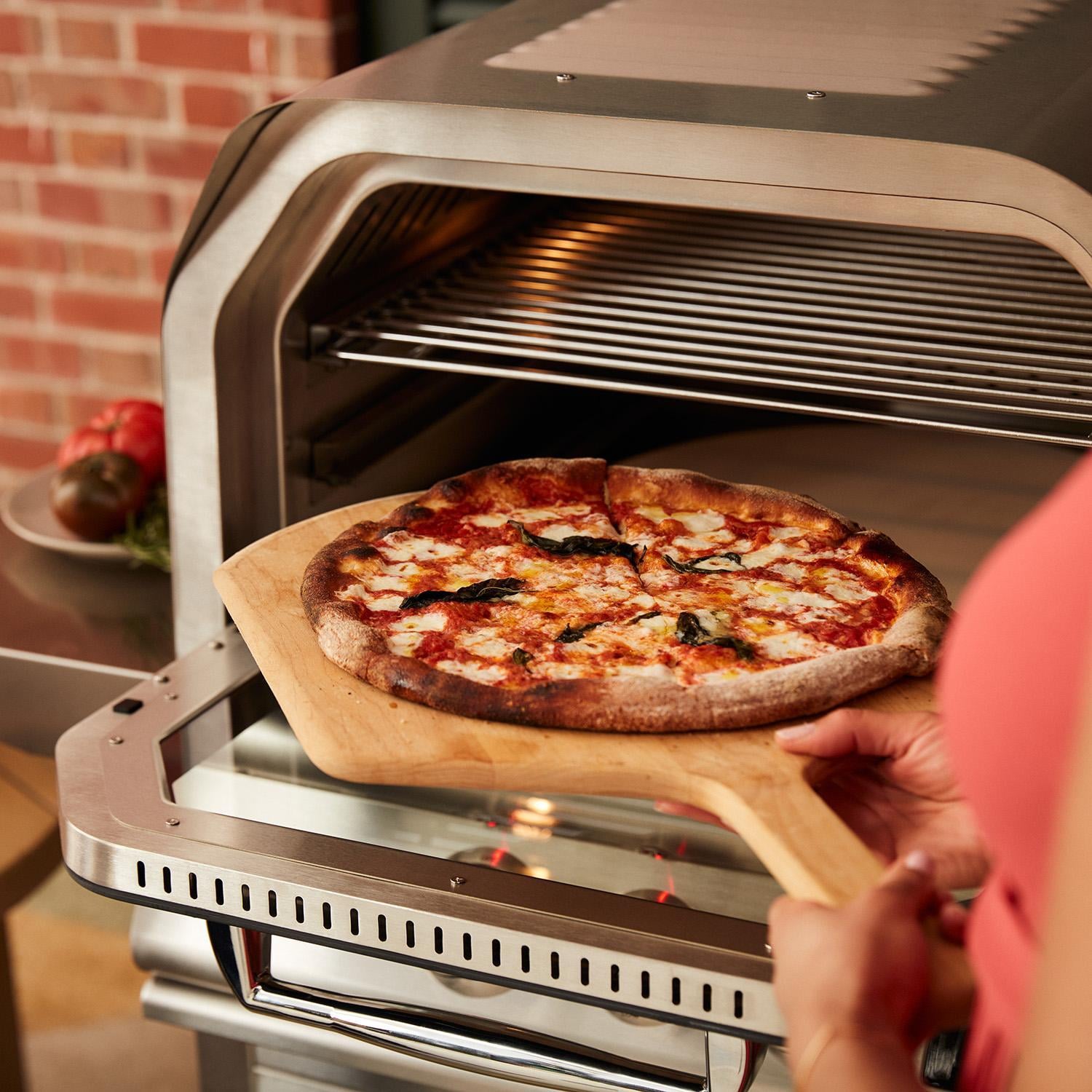 Blaze 26-Inch Countertop Outdoor Oven W/Rotisserie & Countertop Sleeve