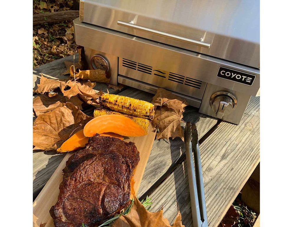 coyote 25-inch stainless steel portable propane grill