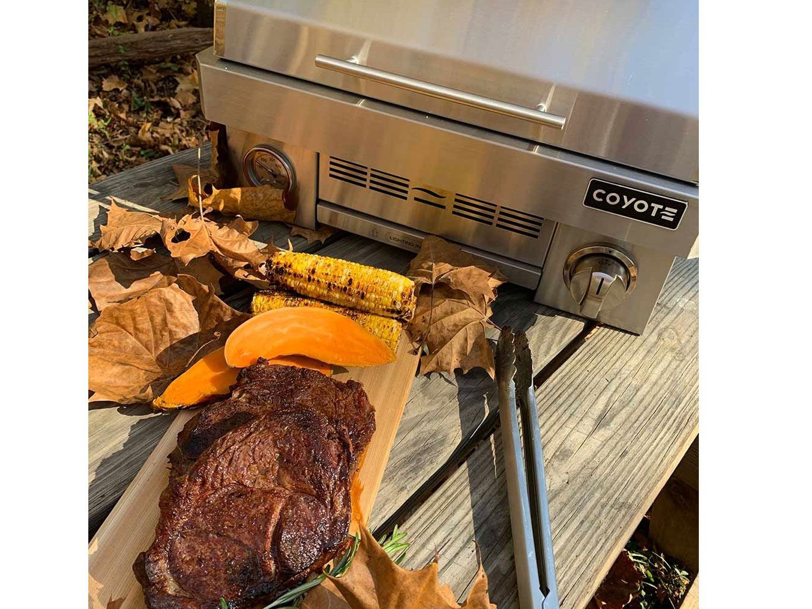 coyote 25-inch stainless steel portable propane grill